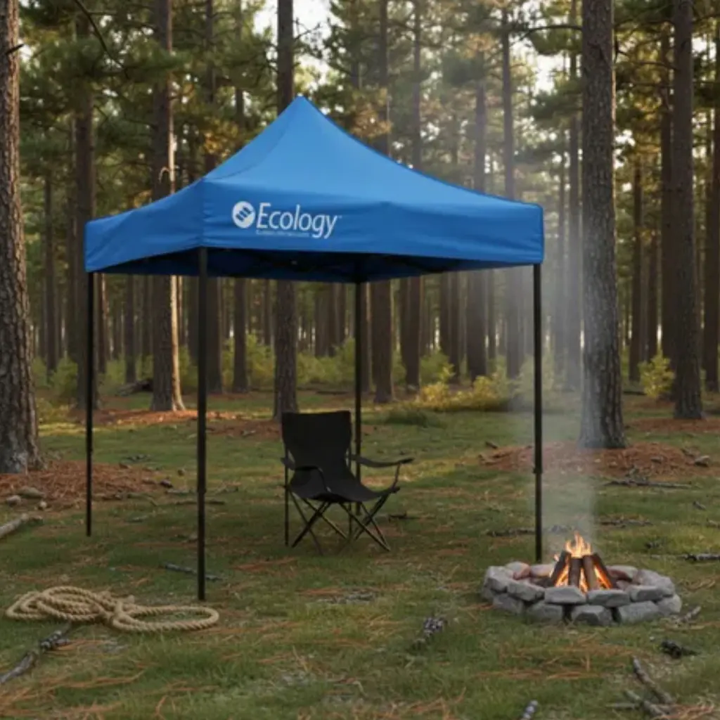 Proyecto nuevo (1).webp