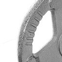Disco de pesas standard hierro K6 10 kg