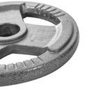 Disco de pesas standard hierro K6 10 kg