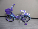 Bicicleta Rin 16 PLT Young Autumn para Niñas