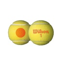 Pelotas de Tenis Wilson Starter Orange 12 Unidades (T1372)