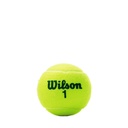 Combo Pelotas de Tenis Transicion Wilson Punto Verde 3P X 6T