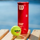 Combo de Pelotas de Padel Wilson Tarro 3P X 3T