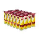 Caja de Pelotas Tenis Wilson Championship Extra Duty TX24