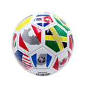 Promotional Soccer ball #5 Americas Flags