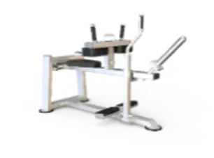 Seated Calf K6 Professional Evolve