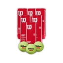 Combo de Pelotas de Padel Wilson Tarro 3P X 6T