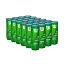 Combo Pelotas de Tenis Transicion Wilson Punto Verde 3P X 24T