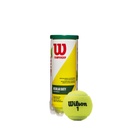 Tarro x3 Pelotas de Tenis Wilson Championship Regular Duty FCT