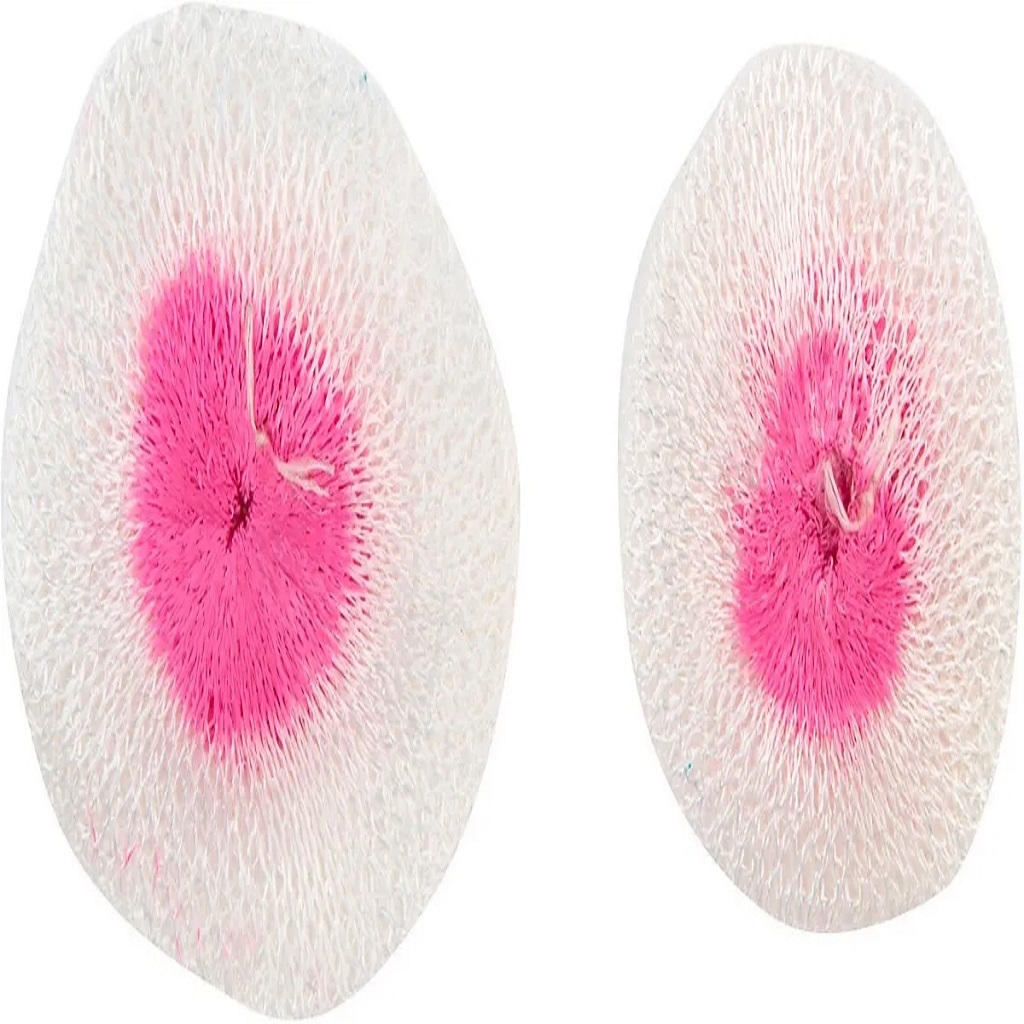 Mantilla Campingaz para Lámpara Talla M